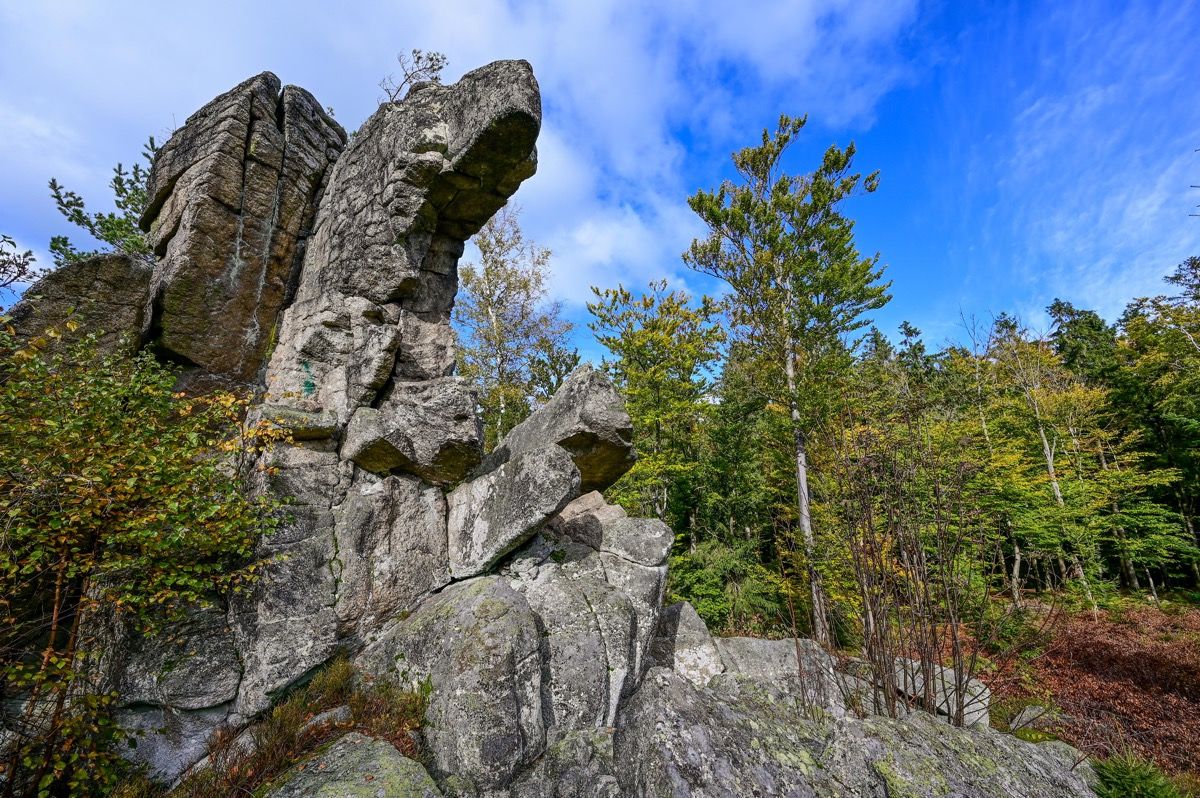 Pure Nature - Stone Forest Part 1