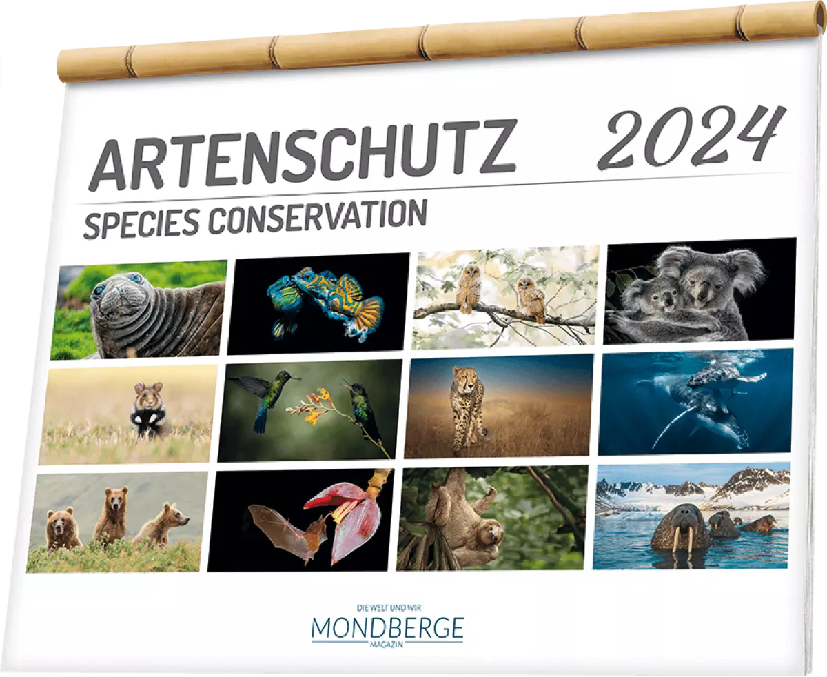 MONDBERGE presents the Species Conservation Calendar 2024