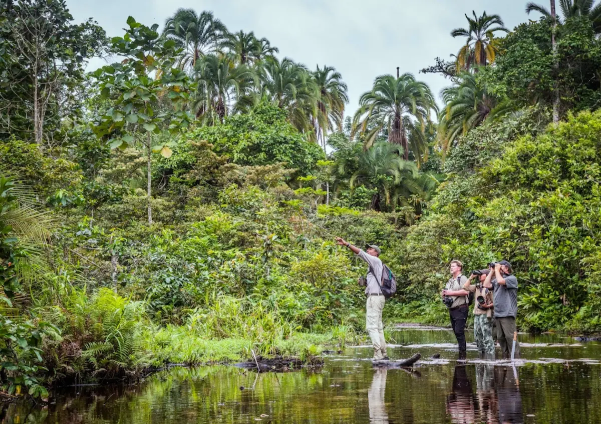 Odzala-Kokoua National Park - Safari to protect nature