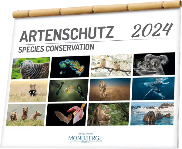 MONDBERGE presents the Species Conservation Calendar 2024