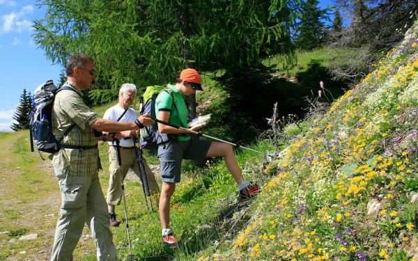 Filzmoos: Arreglo con recorridos de orquídeas